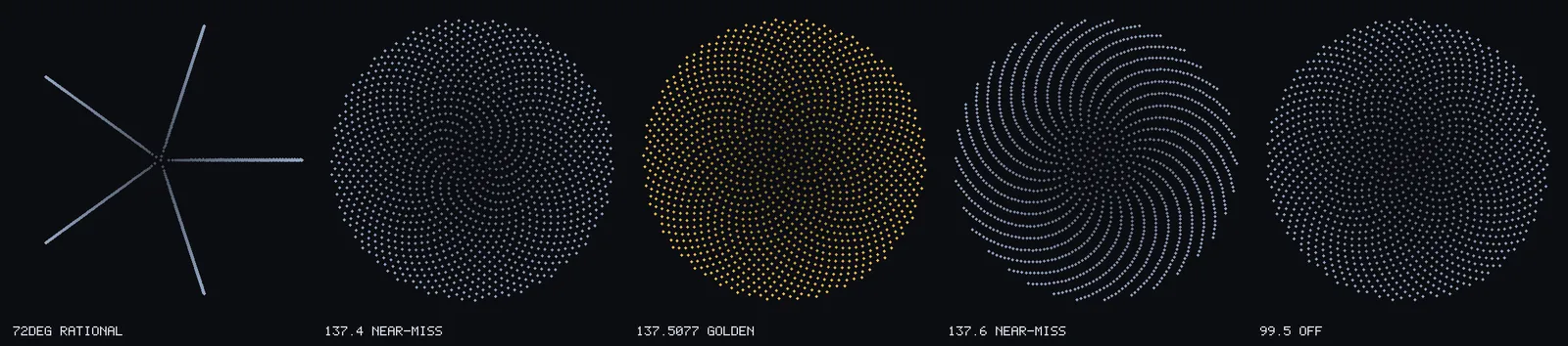 Five dark discs in a row. The first shows five long thin spokes radiating from the centre. The second and fourth show visible curved arms with gaps between them. The middle one is filled evenly with golden dots and no gaps. The last shows a faint spiral texture.