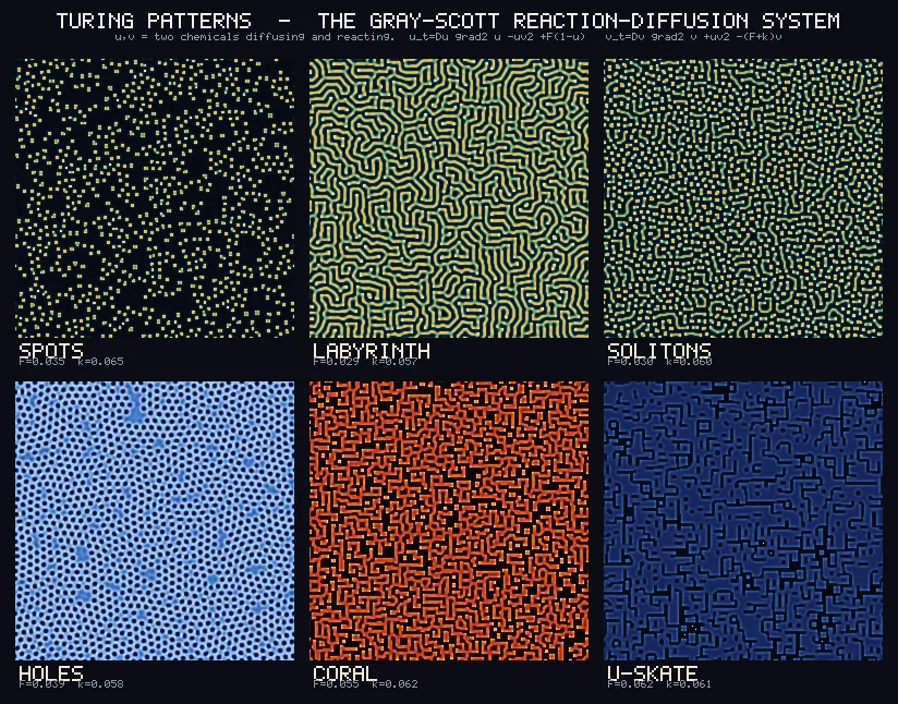 Six square simulation panels in two rows. Top row: scattered yellow dots, a green winding maze, a mix of dots and short worms. Bottom row: blue holes in a field, an orange dense coral, a dark blue field cracked with black lines.